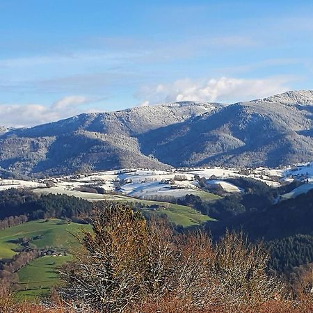 Ferienwohnung Birkental Ebringen 外观 照片