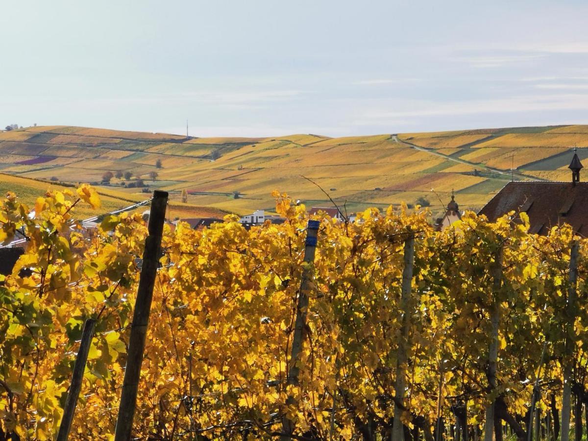Ferienwohnung Birkental Ebringen 外观 照片