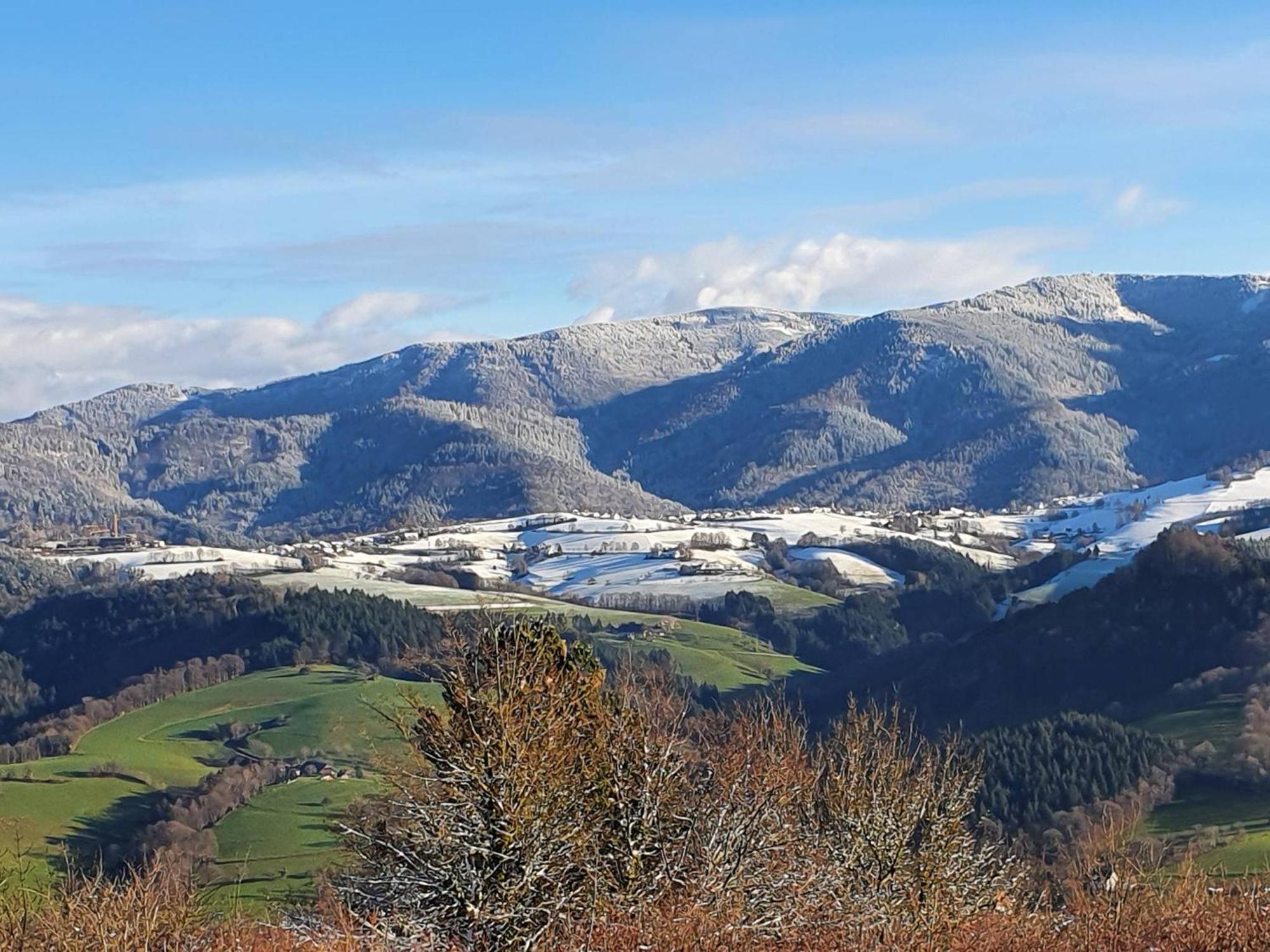Ferienwohnung Birkental Ebringen 外观 照片