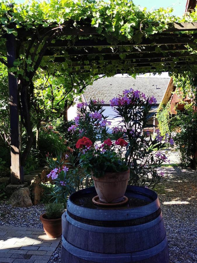 Ferienwohnung Birkental Ebringen 外观 照片