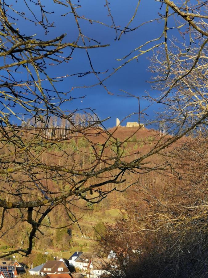 Ferienwohnung Birkental Ebringen 外观 照片