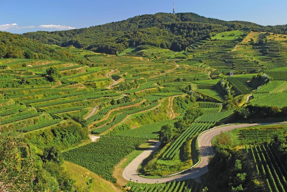 Ferienwohnung Birkental Ebringen 外观 照片
