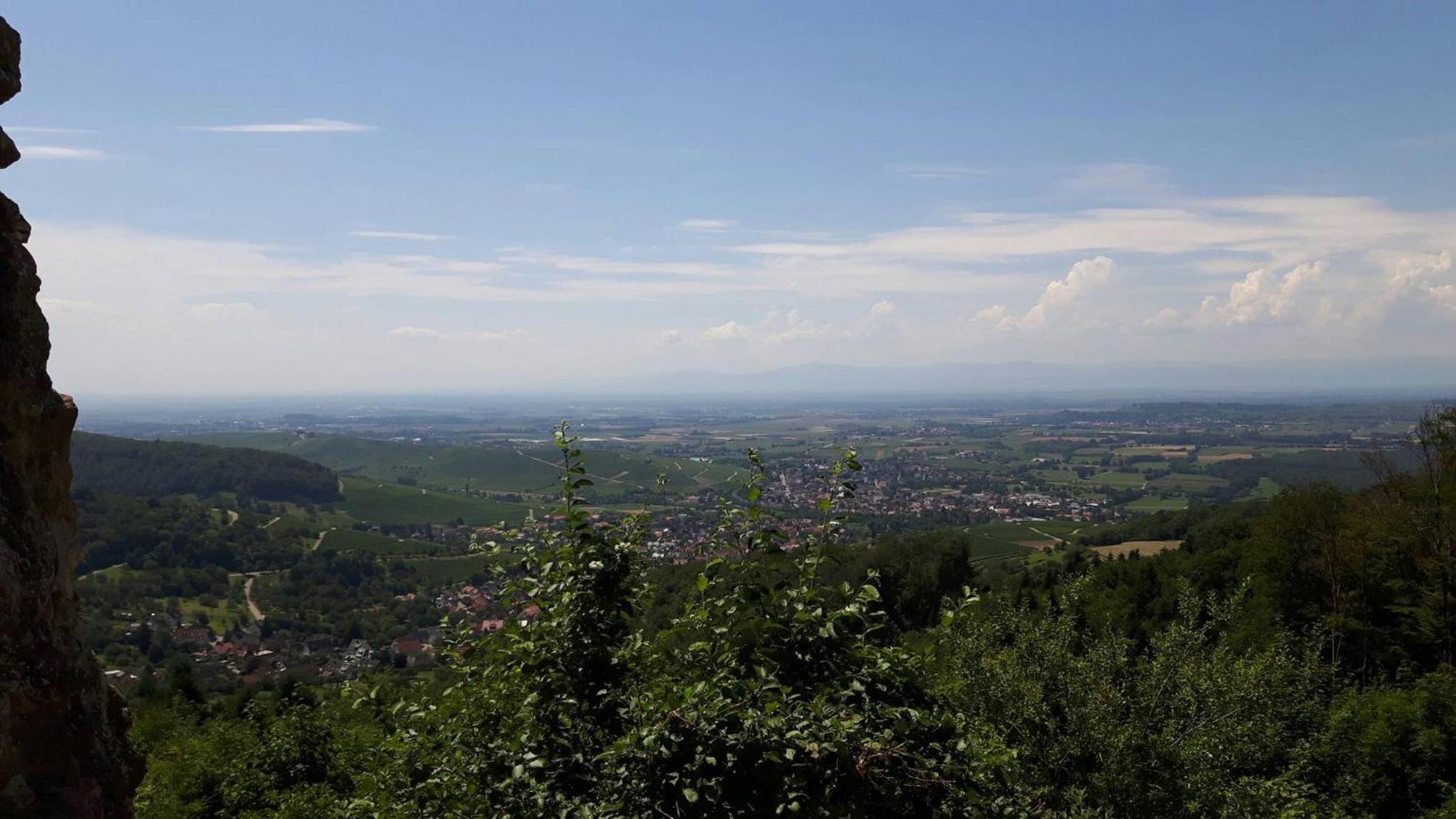 Ferienwohnung Birkental Ebringen 外观 照片