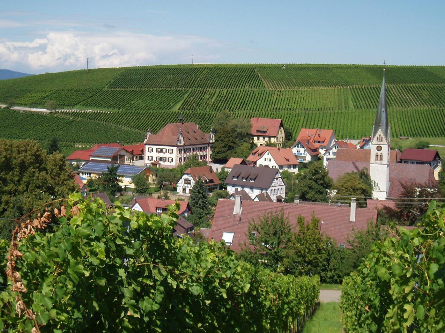 Ferienwohnung Birkental Ebringen 外观 照片